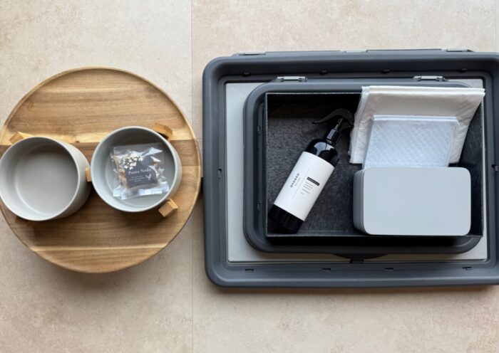 DOGS / ワンちゃん