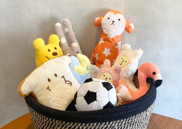 DOGS / ワンちゃん