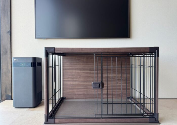 DOGS / ワンちゃん