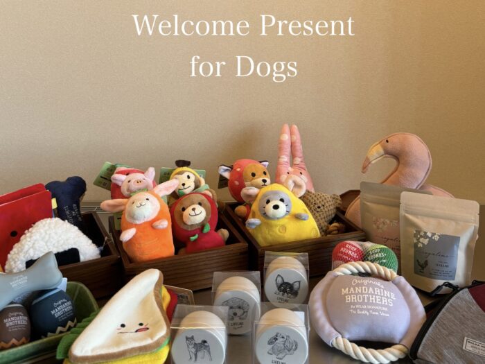 DOGS / ワンちゃん